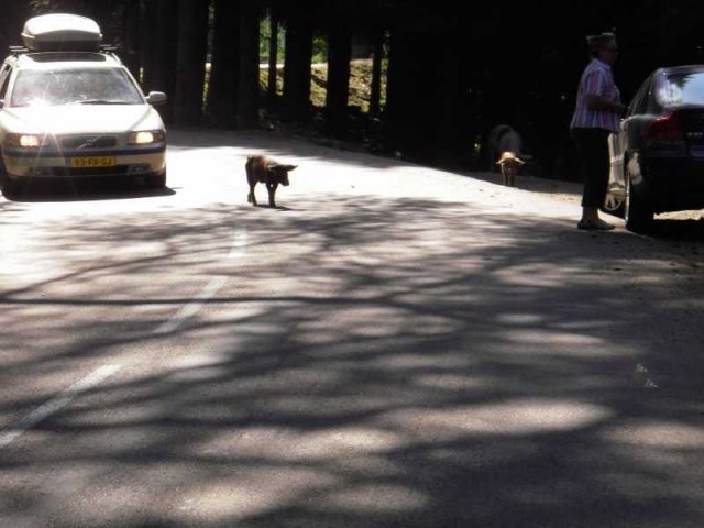 Vacances à moto en Corse 2009