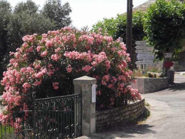 Vacances à moto en Corse 2009